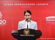 Presidensi G20 Indonesia, Dorong Terbentuknya Dana Perantara Penanganan Pandemi