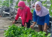 Kepulauan Seribu Dorong Pemberdayaan Wanita Dukung Ketahanan Pangan
