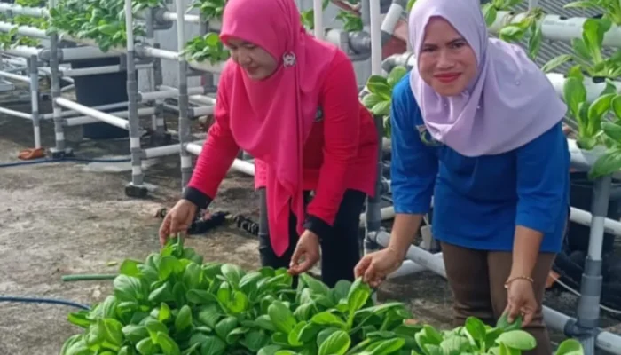 Kepulauan Seribu Dorong Pemberdayaan Wanita Dukung Ketahanan Pangan