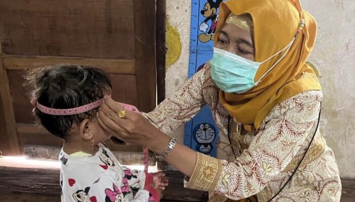 Tekan Angka Stunting di Sumsel, PLN Dirikan Taman Gizi