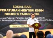 Percepat Pengembangan Pembangkit EBT, Kementerian ESDM Terbitkan Aturan Perjanjian Jual Beli Tenaga Listrik
