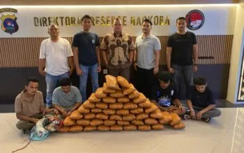 Polisi Gagalkan Peredaran 47 Kg Ganja di Sumbar, 4 Tersangka Ditangkap
