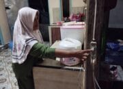 Di RUPTL Baru, PLN Siap Listriki 780 Rumah Tangga Lewat Program Lisdes 2025-2029
