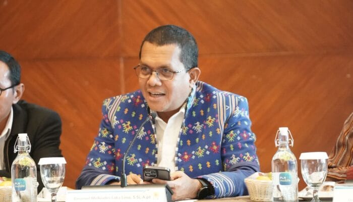 Gubernur NTT Temui Pengembang Geothermal Sampaikan Rekomendasi Terkait PLTP