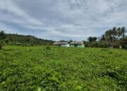 Kementerian PU Siapkan Sekolah Rakyat Tahap II di Halmahera Barat, Tuntas 2026