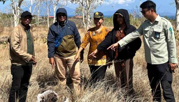 PLN UIP Nusra Kantongi Pertek KKPR untuk Pembangunan PLTS Lembata 1