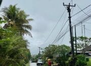 Jaringan Listrik Kembali Normal, Warga Bali Mulai Beraktivitas Lagi