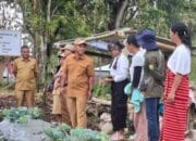 25 Kelompok Wanita Tani Manggarai Tingkatkan Produksi Hortikultura dan Ketahanan Pangan