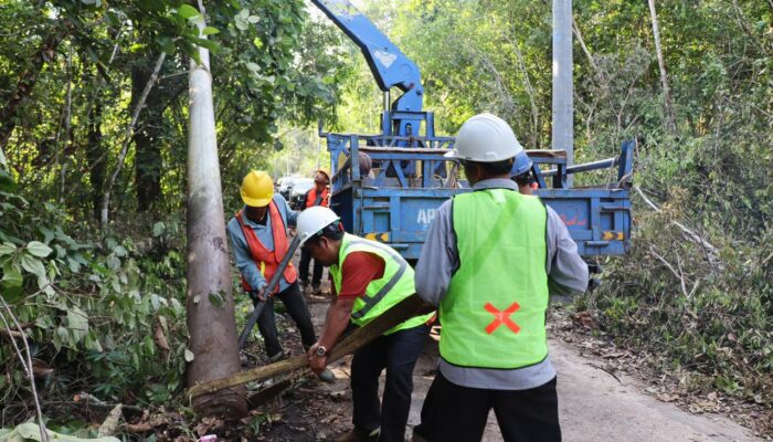 Wujudkan Keadilan Energi, Pemerintah dan PLN Sasar 1.285 Desa Terang Hingga Akhir 2025