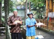 Tingkatkan Perekonomian Masyarakat, Kampung Reforma Agraria Desa Bandung Kembangkan Pembibitan dan Budidaya Ikan