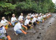 PLN Grup NTB Tanam 5.000 Bibit Mangrove untuk Pulihkan Ekosistem Pesisir Lombok Timur