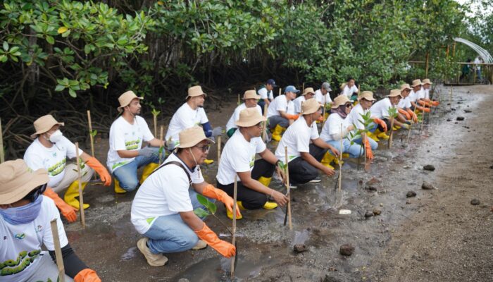 PLN Grup NTB Tanam 5.000 Bibit Mangrove untuk Pulihkan Ekosistem Pesisir Lombok Timur