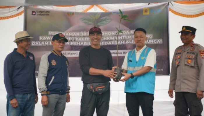 PLN Tanam 30.000 Pohon, Perkuat Rehabilitasi DAS Manni di Sumbawa