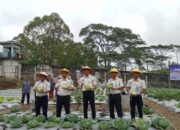 Panen Raya di Rutan Ruteng, Warga Binaan Produktif Dukung Program Ketahanan Pangan