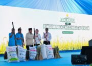 Swasembada Pangan 2025: Tonggak Sejarah Kemandirian Pangan Indonesia