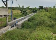 Sistem Pengairan Irigasi Kali Wae Wera Tak Merata, Petani Nanga Baras Minta Dinas Pertanian Turun Tangan