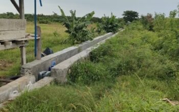 Sistem Pengairan Irigasi Kali Wae Wera Tak Merata, Petani Nanga Baras Minta Dinas Pertanian Turun Tangan