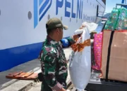 Aksi Penyelundupan Satwa Papua Terungkap di Laut, PELNI Amankan Pelaku