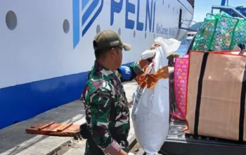 Aksi Penyelundupan Satwa Papua Terungkap di Laut, PELNI Amankan Pelaku