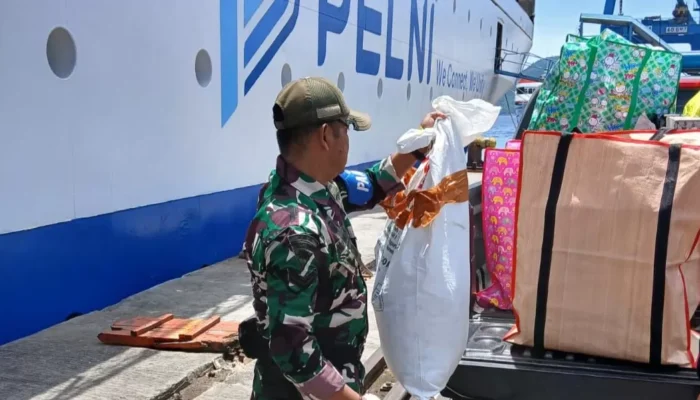 Aksi Penyelundupan Satwa Papua Terungkap di Laut, PELNI Amankan Pelaku