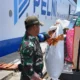 Aksi Penyelundupan Satwa Papua Terungkap di Laut, PELNI Amankan Pelaku