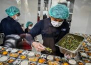 Implementasi MBG Matim Semakin Optimal, Ribuan Penerima Manfaat Terlayani dan 232 Naker Lokal Terserap