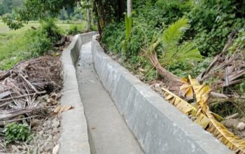 Sub Kontraktor Sebut Konsekuensi Proyek Irigasi Miliaran di Sambi Rampas Harus Ada yang Dikorbankan