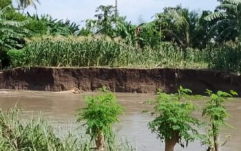 Warga Dua Kampung di Lamba Leda Utara Terancam Luapan Sungai, Begini Kata Camat