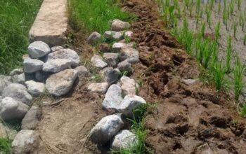 Proyek Irigasi Desa Bangka Jong Tahun 2025 Belum Tuntas Dikerjakan