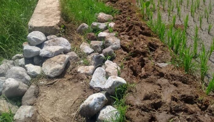 Proyek Irigasi Desa Bangka Jong Tahun 2025 Belum Tuntas Dikerjakan