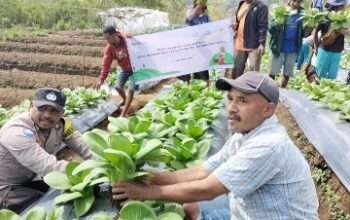 PLN Perkuat Dampak Sosial PLTP Ulumbu, dari Energi Bersih hingga Pemberdayaan Masyarakat