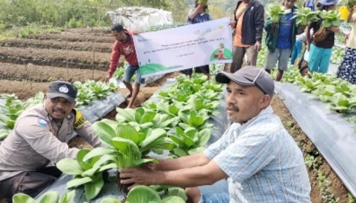 PLN Perkuat Dampak Sosial PLTP Ulumbu, dari Energi Bersih hingga Pemberdayaan Masyarakat