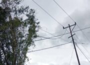 Cuaca Ekstrem Lumpuhkan Jaringan Listrik di Manggarai, PLN Kerahkan Tim Perbaikan