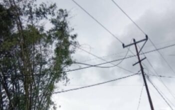 Cuaca Ekstrem Lumpuhkan Jaringan Listrik di Manggarai, PLN Kerahkan Tim Perbaikan