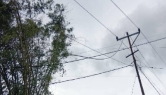 Cuaca Ekstrem Lumpuhkan Jaringan Listrik di Manggarai, PLN Kerahkan Tim Perbaikan