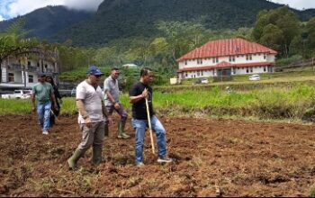 Olah Lahan di Sekitar Golo Dukal, Penjabat Sekda Manggarai Sampaikan Hal Ini