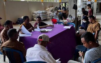 PT Agro Porang Nusantara Jamin Kehadiran Pabrik Porang di Reok Tak Berbahaya untuk Warga, Simak Penjelasannya