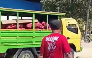 Komitmen Pihak Pabrik Porang: Jalankan Industri Ramah Lingkungan dan Siap Kembangkan Komoditas Petani