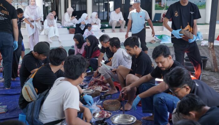 Idul Adha 1447 H, PLN UIP Nusra Salurkan Puluhan Hewan Kurban ke Seluruh Wilayah Nusa Tenggara