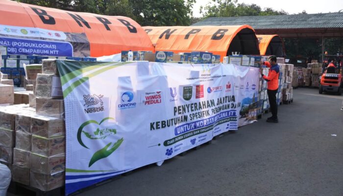 Bantu Pemulihan Korban Gempa NTT, Kemen PPPA Salurkan Logistik Khusus Perempuan dan Anak
