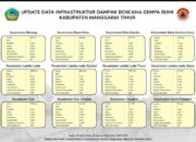 Update Data Dampak Bencana Gempa di Manggarai Timur, 12.862 Bangunan dan Infrastruktur Lain Terdampak