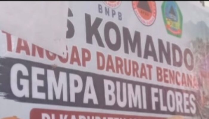 Updated Terbaru Pascagempa, 30 Orang Meninggal Dunia di Kabupaten Manggarai Timur