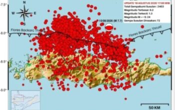 Data Terbaru Pascagempa Manggarai Timur: 28 Meninggal, 643 Orang Luka