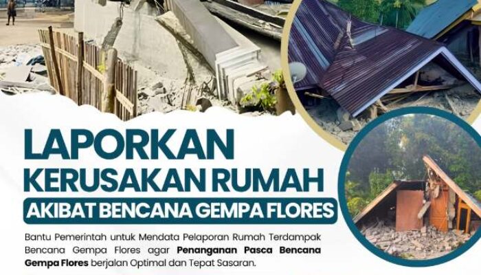 BP3KP Nusa Tenggara II Ajak Warga Laporkan Kerusakan Rumah Akibat Gempa Flores