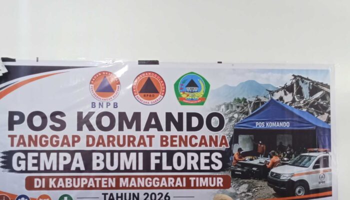 Terbaru! Korban Gempa Manggarai Timur Capai 679 Orang, 36 Meninggal Dunia