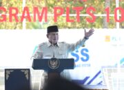 Presiden Resmikan PLTS 100 GWp, PLN siap Dukung Pengembangan EBT Menuju Swasembada Energi