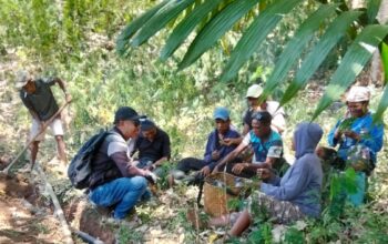 Jaringan Air Bersih Lewokoba Terpasang, PLN UIP Nusra Lanjutkan Pembenaman Pipa di Sekitar PLTP Atadei