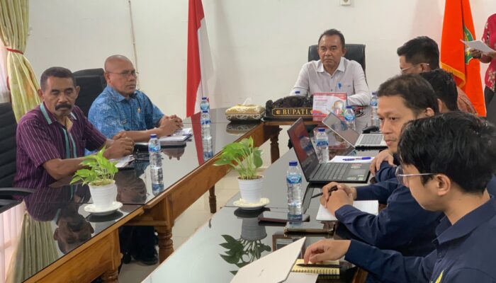 Rencana Pembangunan Energi Panas Bumi di Flores Timur, PLN Hadirkan Para Ahli Temui Bupati