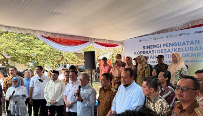 PLN Dorong Kemandirian Ekonomi Desa melalui Kolaborasi Layanan Kelistrikan