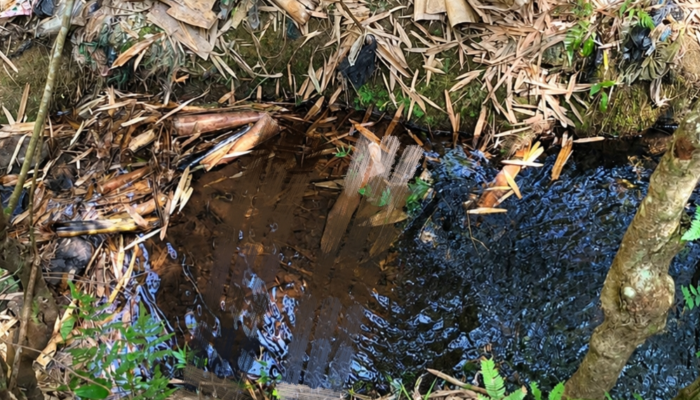 Warga Cibal Ditemukan Meninggal di Sungai Kakor, Penyebab Kematian Belum Diketahui